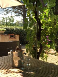 Tuin met begroeid terras | Val de Gilly (Cote D'Azur)